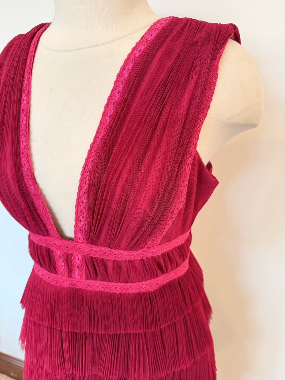 NWT Hutch Charley Deep-V Pleated Raspberry Tiered Tulle Maxi Dress Size 6P - Picture 3 of 13